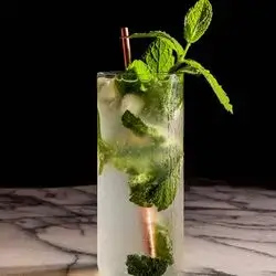 Plain Mojito