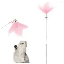 Cat Teaser Toy 