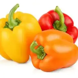 Colorful Pepper