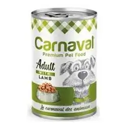 Carnaval Adult