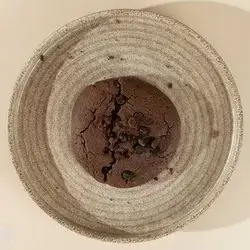 Dark Cookies