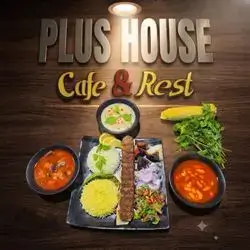 Kebab On Rice