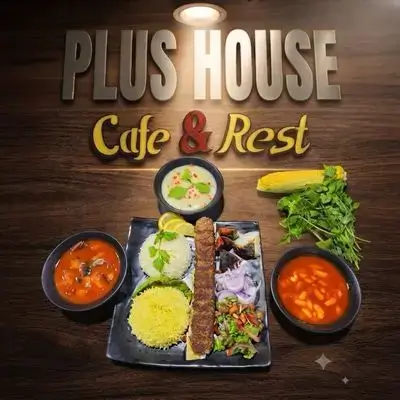 Kebab On Rice