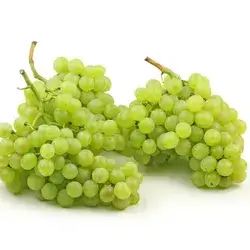 Yellow Iraqi Raising Grape