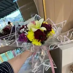 Rose, Dawoodi And Lilyum