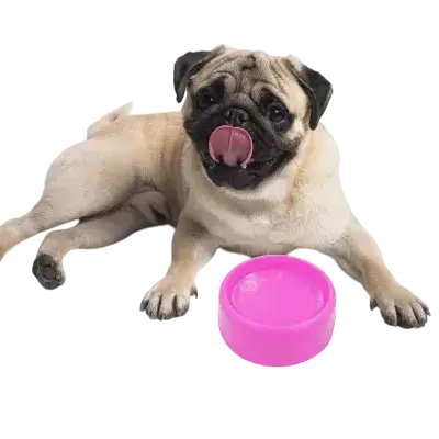 Plastic Bowl