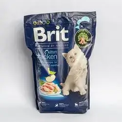 Brit - Chicken Kitten