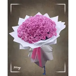 100 Roses
