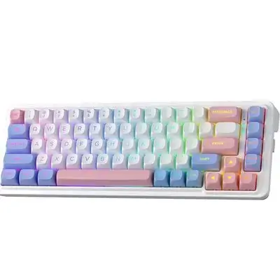Redragon K709 PRO 65% Wireless Gasket RGB Gaming Keyboard