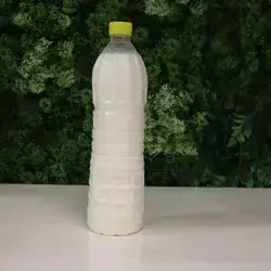 Coconut