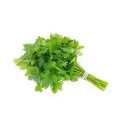 Fresh Coriander Bunch