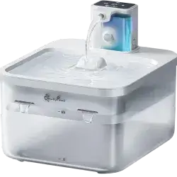 Downypaws Water Fountain 2.5L