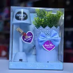 Gift Package