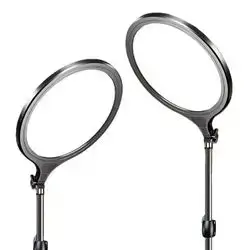 Light With Extendable Desktop Stand