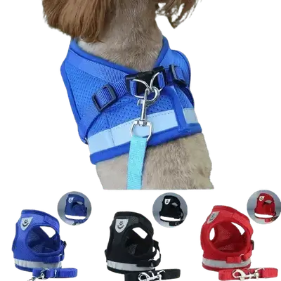 E219 pet harness with leash