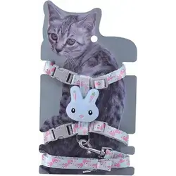 Harness