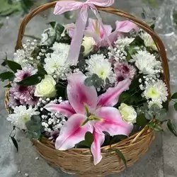 Basket Flower
