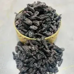 American Oily Raisin