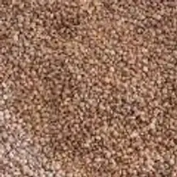 Sumac Dostaki