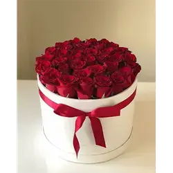Flower Box