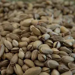 Antep Pistachio