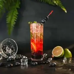 Blueberry Mojito