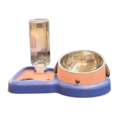 Food and Water Bowl