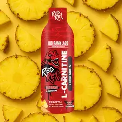 RED REX LIQUID CARNITINE 3500MG PINEAPPLE 32 SERVINGS