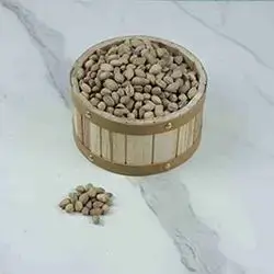 Qazwan + Pistachio