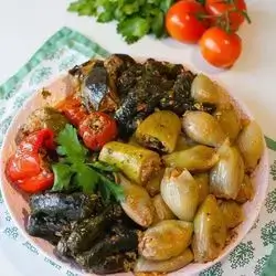 Diet Chicken Dolma - 1 Person
