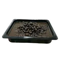 Iraqi black olives