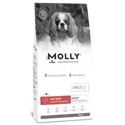 Dog Food