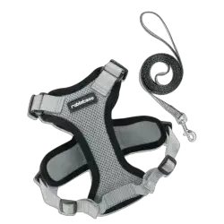 Leash & Harness