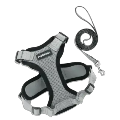 Leash & Harness