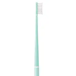 Piuma Brush ECHINACEA Aqua Green