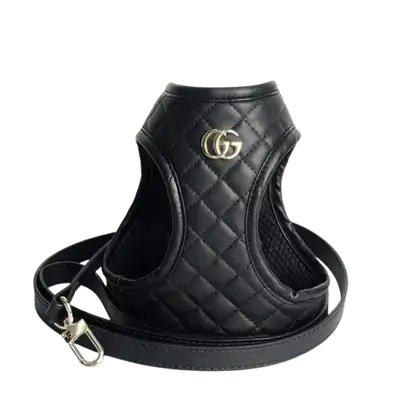E69 Pet Leash+Harness