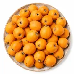 Loquat