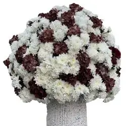 Flower Arrangement With Stationery