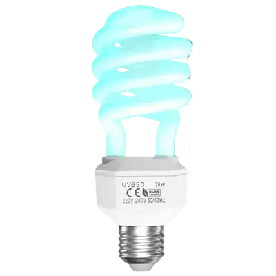 E891 Reptile lamp