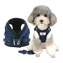 Leash & Harness S