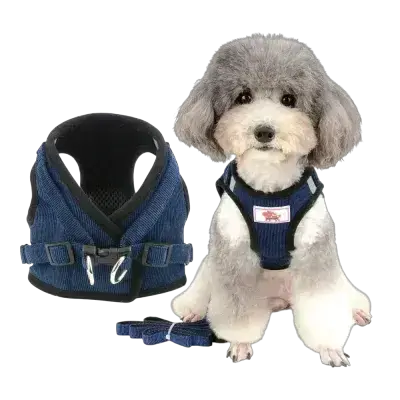 Leash & Harness S