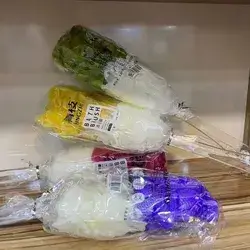Bath Sponge