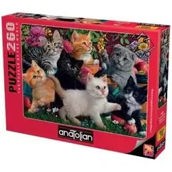 PUZZLE 260 XL