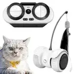 Cat Car Toy