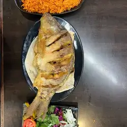 Fish
