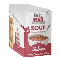 Brit Care Soup with Salmon 15x75g