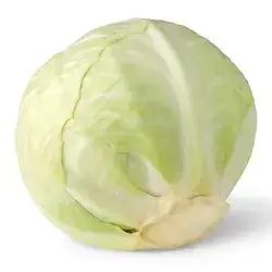 White Cabbage