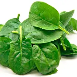 Spinach