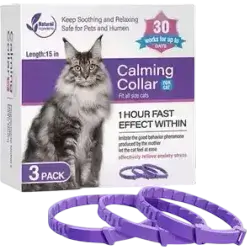 Calming Collar