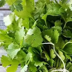 Spinach